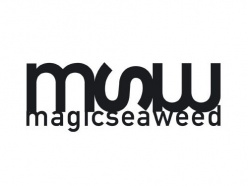 Magicseaweed