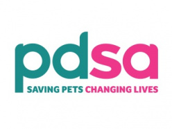 PDSA